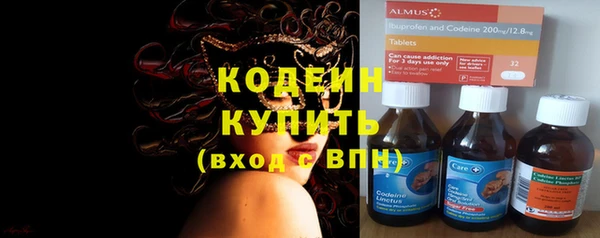 индика Новозыбков