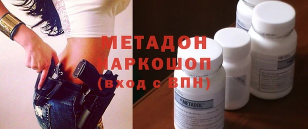 индика Новозыбков