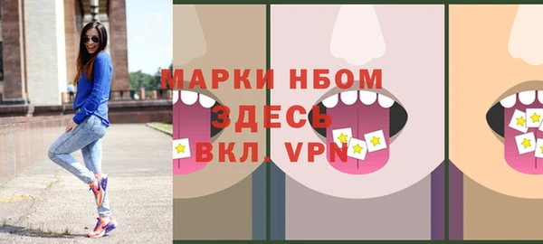 индика Новозыбков