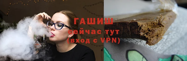 индика Новозыбков