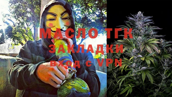 индика Новозыбков