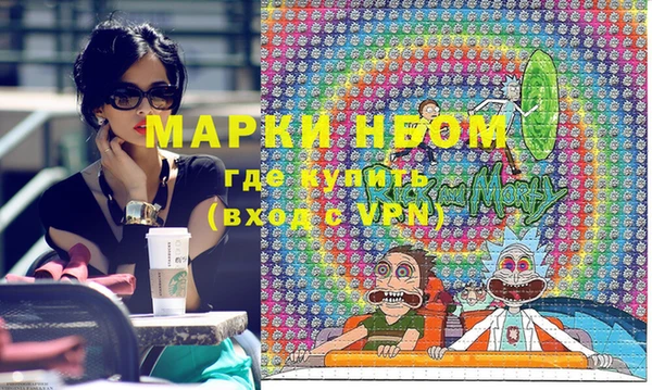 индика Новозыбков