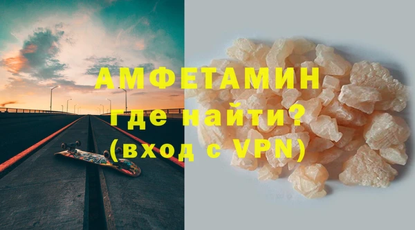 индика Новозыбков