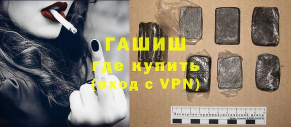 индика Новозыбков