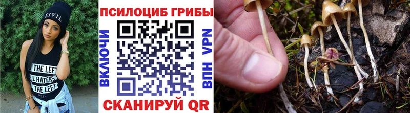 Галлюциногенные грибы MAGIC MUSHROOMS  цена   Гурьевск 