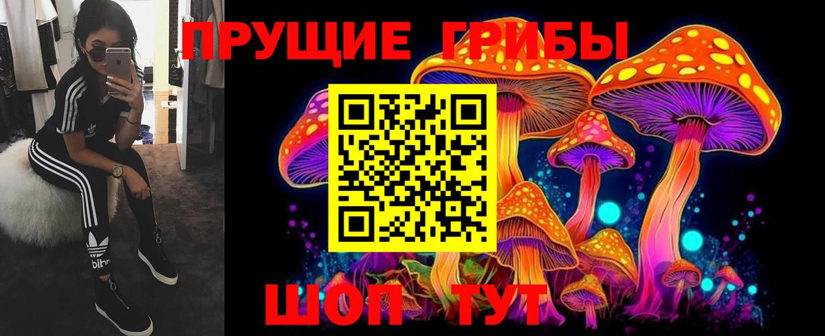 Гурьевск  Галлюциногенные грибы Cubensis  Псилоцибиновые грибы Psilocybe  как найти закладки  Вход с VPN 